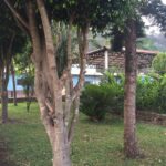 WhatsApp-Image-20160428 (1)